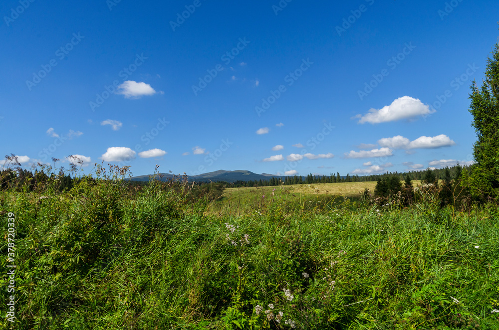 Bieszczady panorama