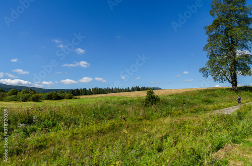 Fototapeta Naklejka Na Ścianę i Meble -  Bieszczady panorama