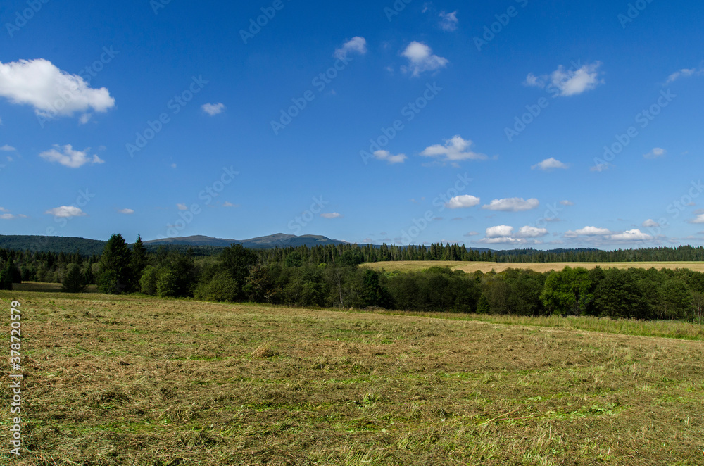 Bieszczady panorama Bieszczady panorama