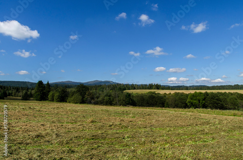 Bieszczady panorama 