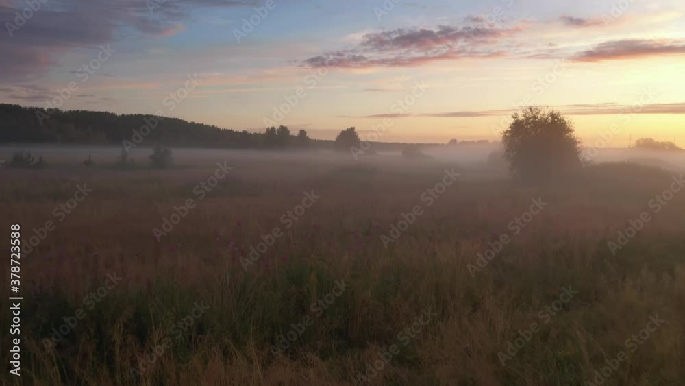 Fields overgrown with herbs. A lot of fog, the beautiful dawn sun shines through the haze. Fields overgrown with herbs. A lot of fog, the beautiful dawn sun shines through the haze.
