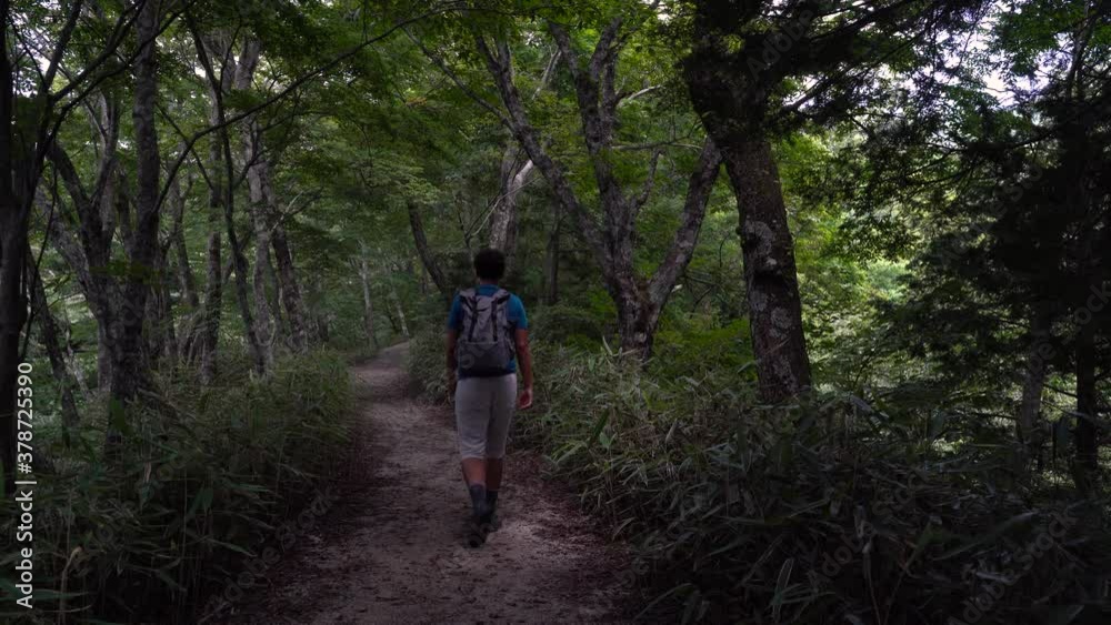 Male hiker walking into frame, hiking in forest path on bright and sunny day Male hiker walking into frame, hiking in forest path on bright and sunny day