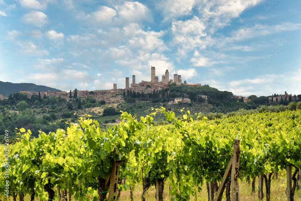 San Gimignano, vineyards and town in Tuscany, Italy