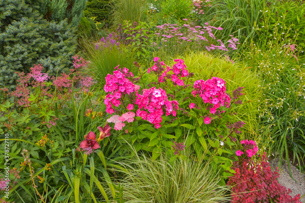 summer day in the garden outside meadow flowers summer day in the garden outside meadow flowers