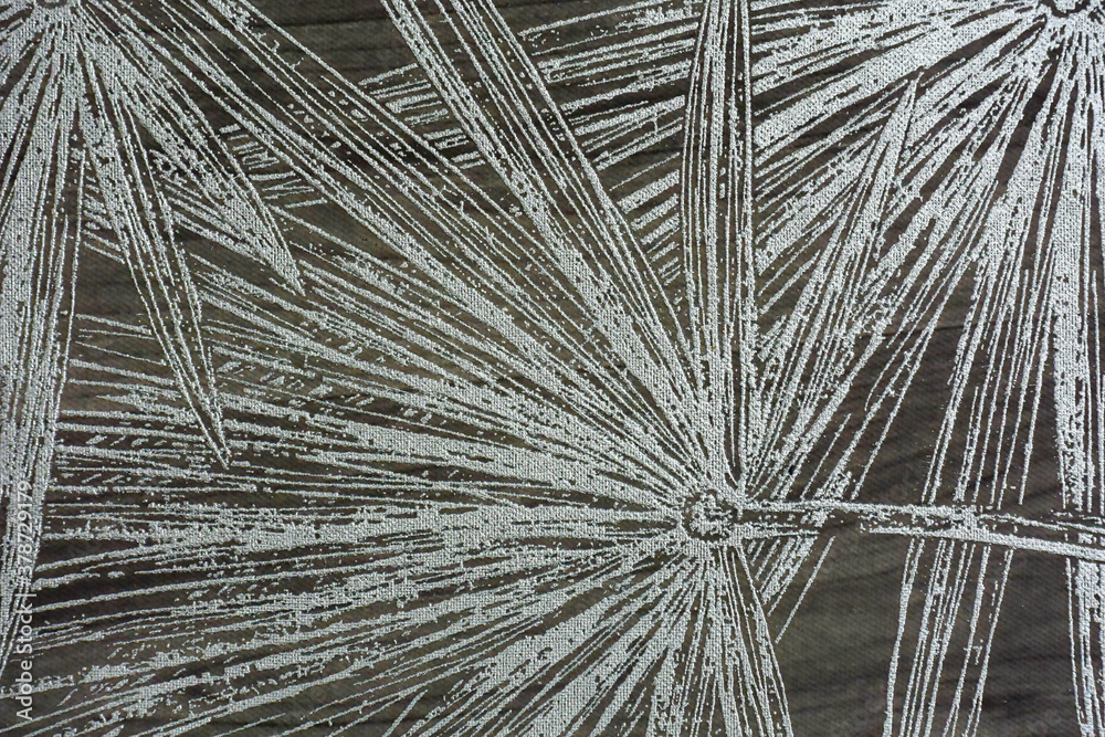 Obraz premium Fondo de textura