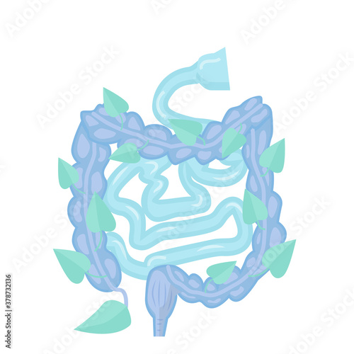 Human intestines, digestive system. Healthy gut concept, vector illustration