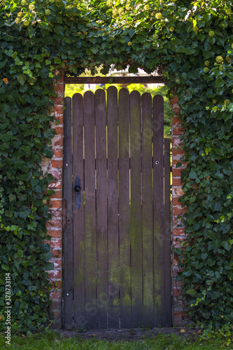 Wrota do tajemniczego ogrodu. Stare, drewniane drzwi i mur porośnięty bluszczem.