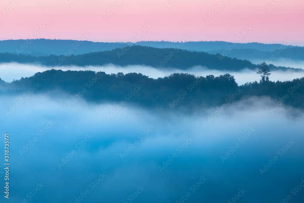 Mountains in fog at beautiful morning in autumn. Landscape with mountain valley, low clouds, forest, colorful sky , nature illuminated at dusk.
Dramatic mist in forest at sunrise, space for text