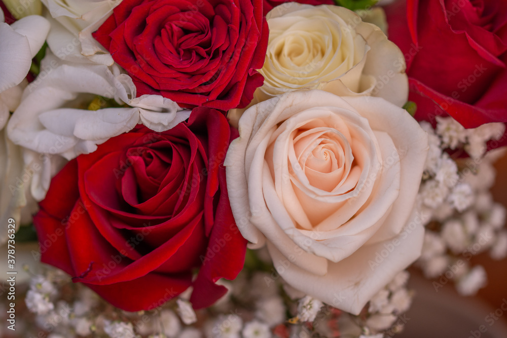 Fototapeta premium bouquet of roses for the bride