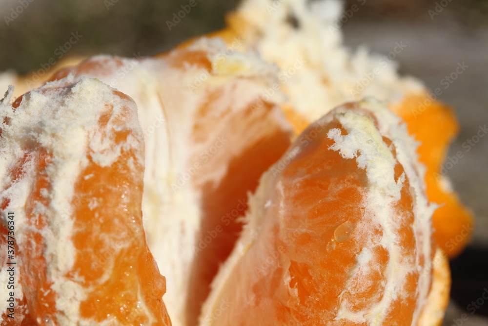 Mandarina | Mandarine Mandarina | Mandarine