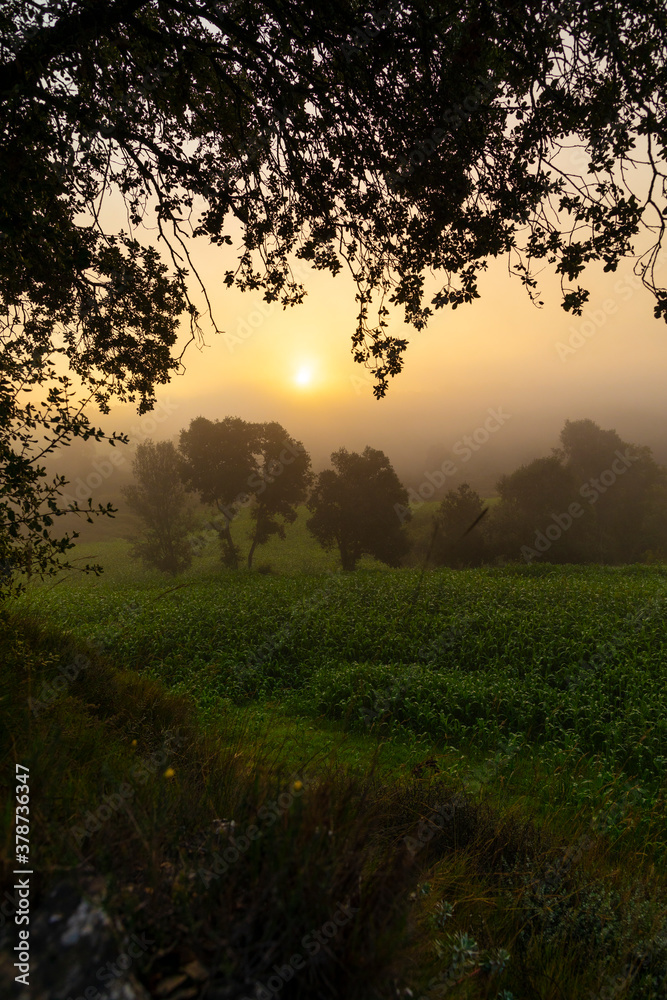 Amanecer otoñal sobre un campo de cultivo