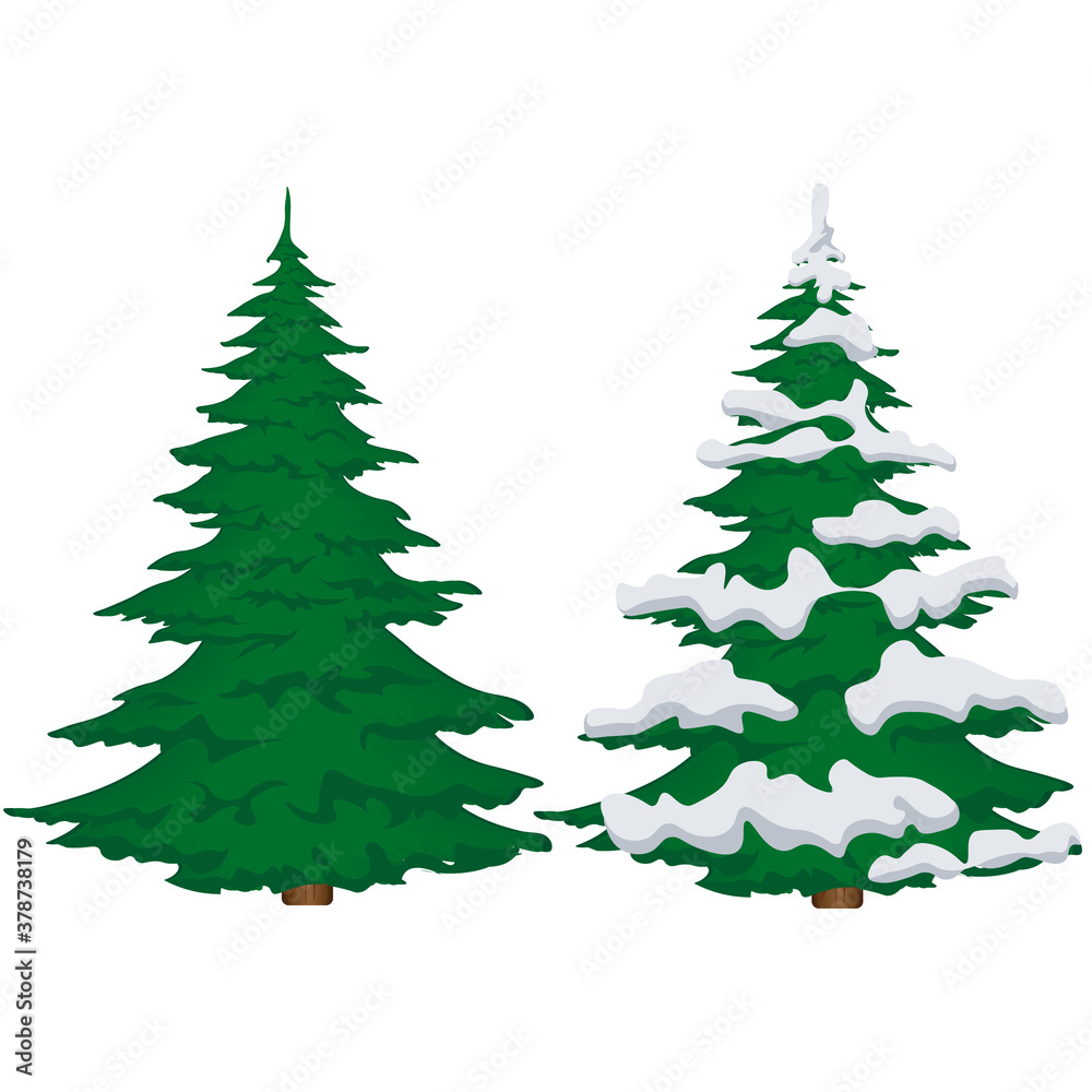 Summer and winter spruce on a white background. Vector illustration