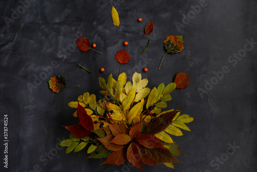 Bouquet of bright autumn foliage on a dark background