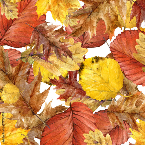 Watercolor colorful autumn  illustration