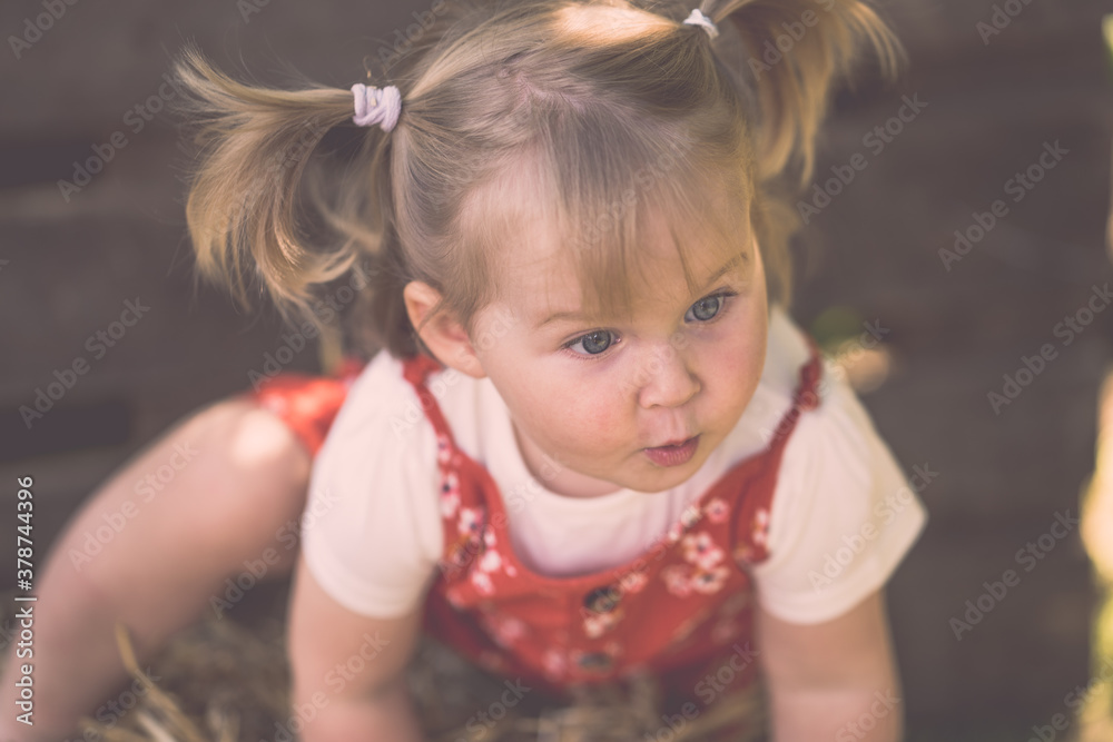 Portrait süßes Kleinkind mit rotem Kleid und Zöpfen lächelt outdoor hölzener Hintergrund Var. 2 Portrait süßes Kleinkind mit rotem Kleid und Zöpfen lächelt outdoor hölzener Hintergrund Var. 2