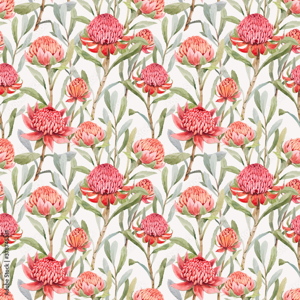 Beautiful vector seamless floral pattern with watercolor summer protea flowers. Stock illustration.