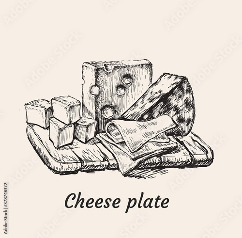 Cheese Plate Hand Drawing Vector Illustration.