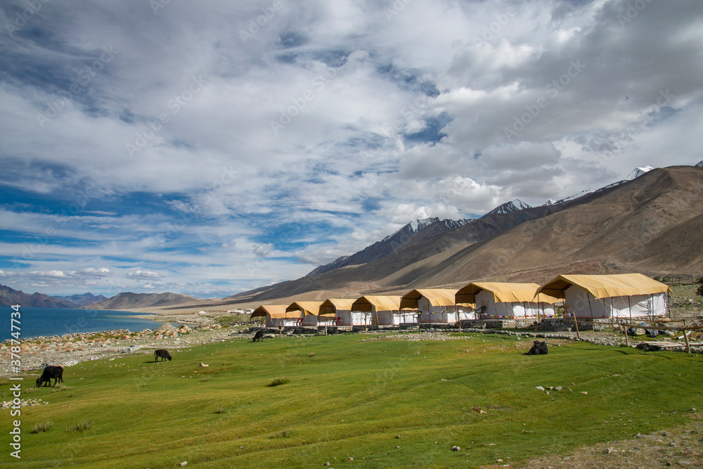 Tourist Camps near Pangong Tso, Ladakh, India. Pangong lake is an endorheic lake in the Himalayas situated at an elevation of 4,225 m Tourist Camps near Pangong Tso, Ladakh, India. Pangong lake is an endorheic lake in the Himalayas situated at an elevation of 4,225 m