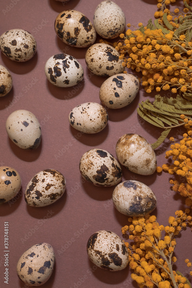 quail eggs on a brown background.