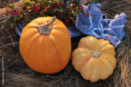 Flat lay composition with pumpkins on the hay, autumn flower bouquet, and gray plaid. Autumn Halloween Thanksgiving background. Copy space. Selective focus