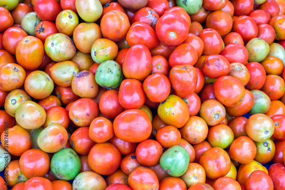 tomatoes tomatoes