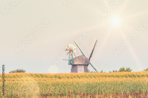 Mühle Borgsum, Himmel, Windmühle, Blau, Insel, Föhr, Schleswig-Holstein, Nordfriesland, Bäuerlich, Wind,	