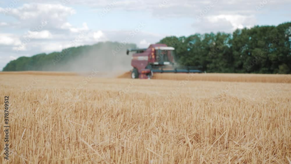 Combine harvester gathers the wheat crop. Wheat harvesting shears. Combines in the field Food industry concept. Combine harvester gathers the wheat crop. Wheat harvesting shears. Combines in the field Food industry concept.