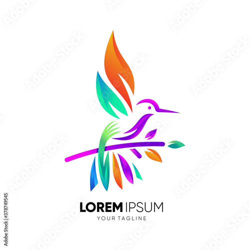 Colibri Colorfull Logo Design Vector