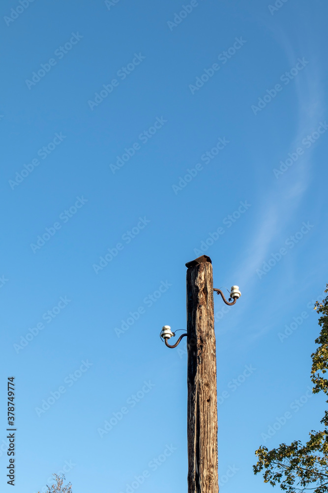 Old wooden power transmission pole with two ceramic insulators Old wooden power transmission pole with two ceramic insulators