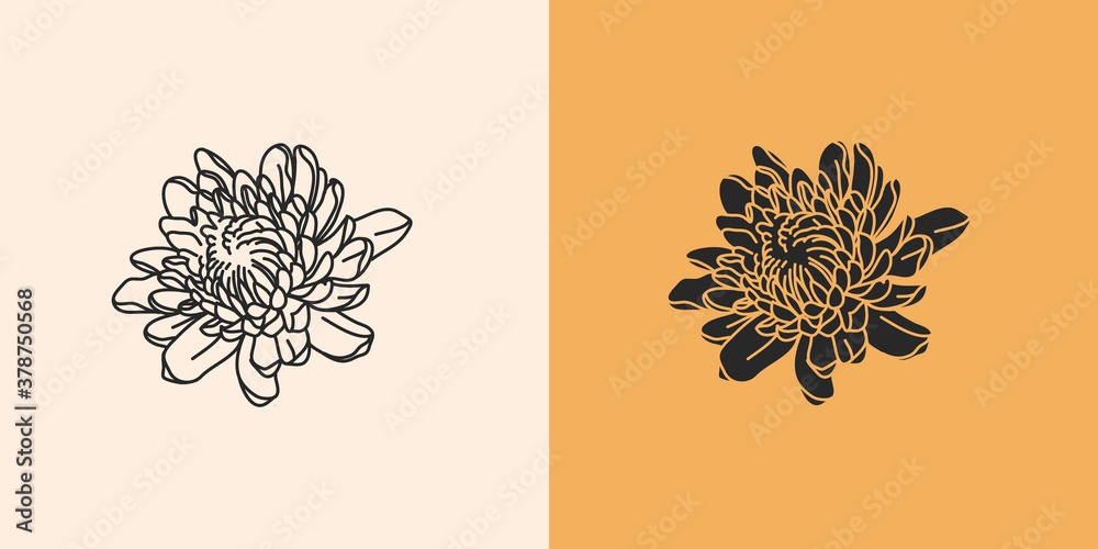 Hand drawn vector abstract stock flat graphic illustration with logo elements set,chrysanthemum autumn line flowers and silhouette,magic art in simple style for branding,isolated on color background - obrazy, fototapety, plakaty 
