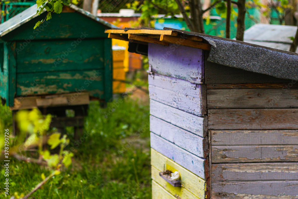 Close up beehive farm boxes for the production of honey. Row of colorful Vintage wooden beehives stay on apiary. Honey healthy food products. Private enterprise for beekeeping. Selective focus Close up beehive farm boxes for the production of honey. Row of colorful Vintage wooden beehives stay on apiary. Honey healthy food products. Private enterprise for beekeeping. Selective focus