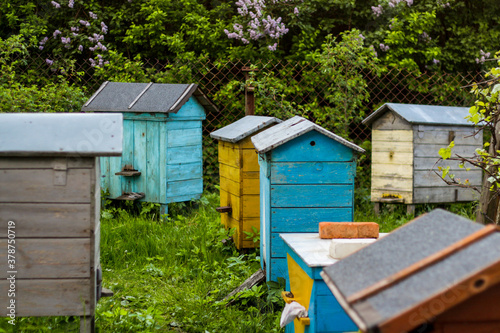 Colored beehive farm boxes for the production of honey. Row of colorful Vintage wooden beehives stay on apiary. Honey healthy food products. Private enterprise for beekeeping. Selective focus