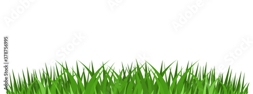 Grass borders set, Vector Illustration
