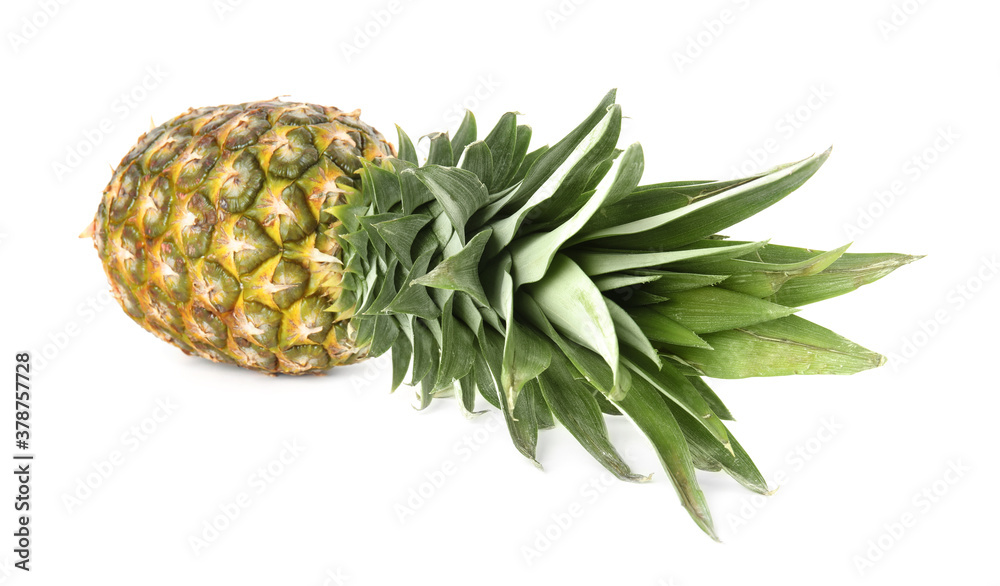 Fresh ripe juicy pineapple isolated on white Fresh ripe juicy pineapple isolated on white