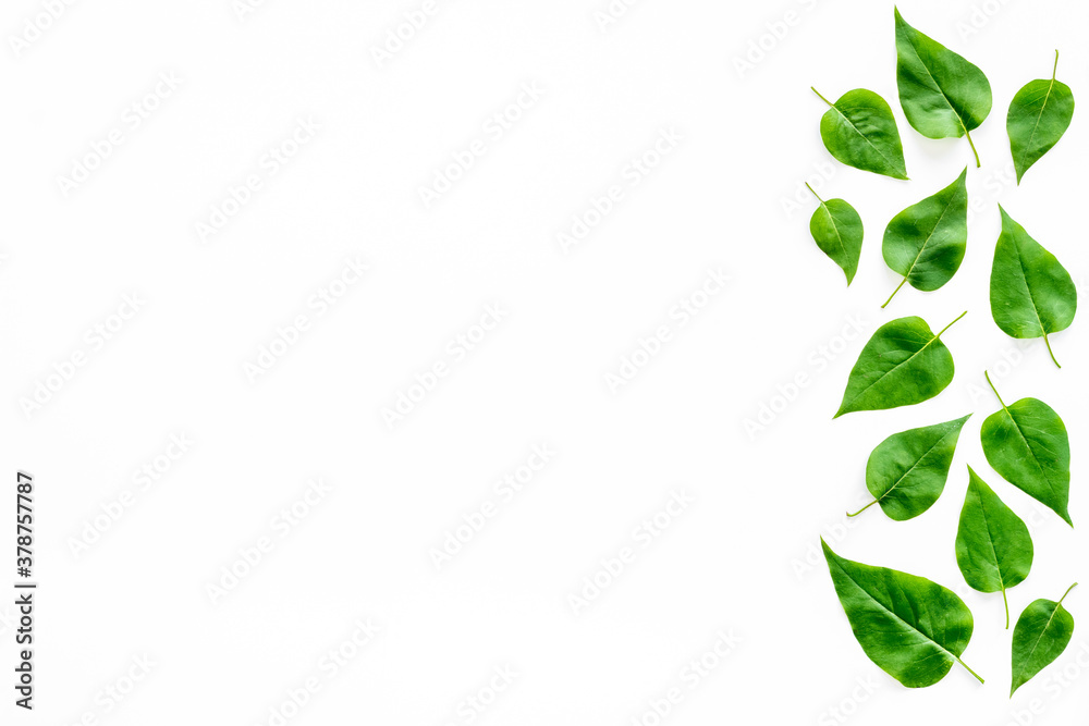 Lauout of green leaves - nature background. Top view Lauout of green leaves - nature background. Top view