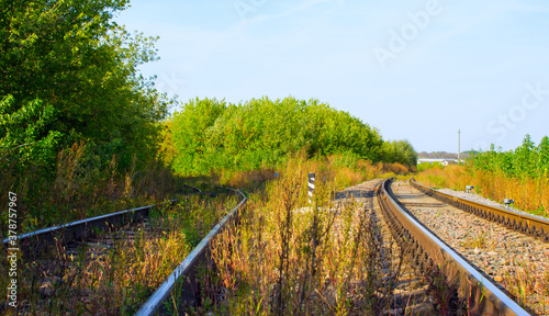 railway in the forest