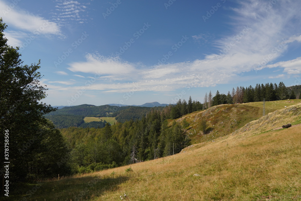 Schöner Fernblick über den Schwarzwald