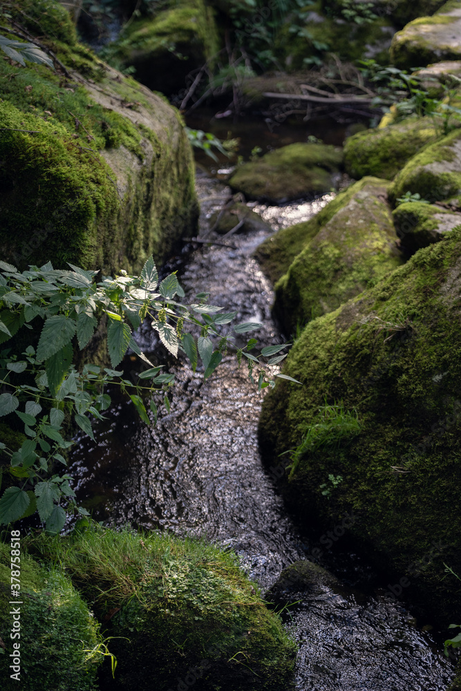 Wandern zur Saußbachklamm im bayerischen Wald Wandern zur Saußbachklamm im bayerischen Wald