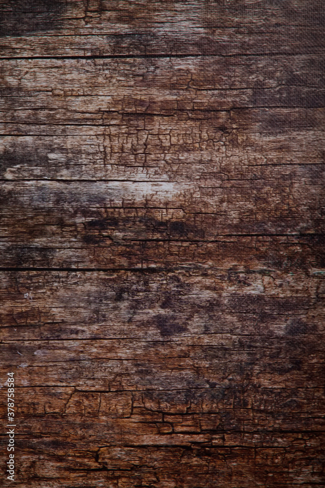 Close-up photographic background of a wooden surface. Large space for artwork, lettering or logo. Copyright space for site