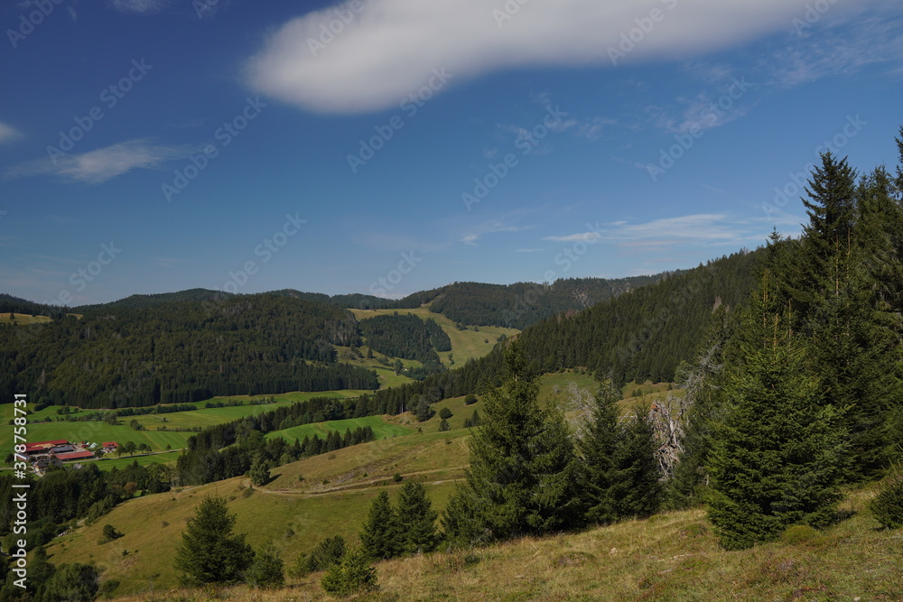 Wunderschöne Aussicht im Schwarzwald
