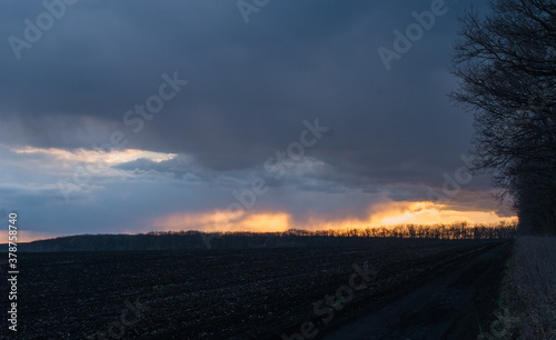 View of a fresh spring field. There are trees on the horizon. Countryside landscape. © Yuliya