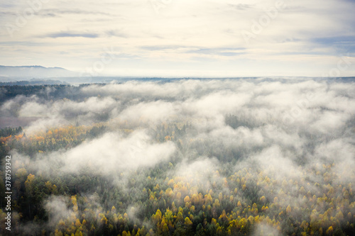 Luftaufnahme vom Herbstwald © Georg Neumann