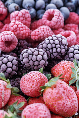 The frozen berries of raspberries, blackberries, blueberries, strawberries, covered with hoarfrost.