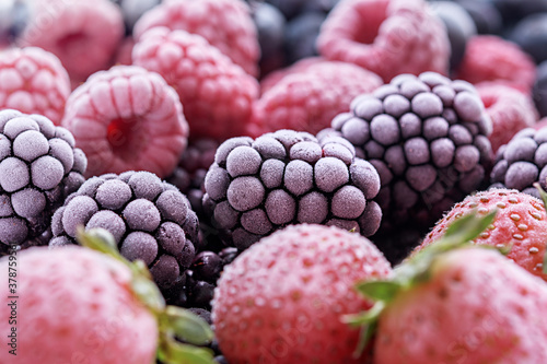 The frozen berries of raspberries  blackberries  blueberries  strawberries  covered with hoarfrost.