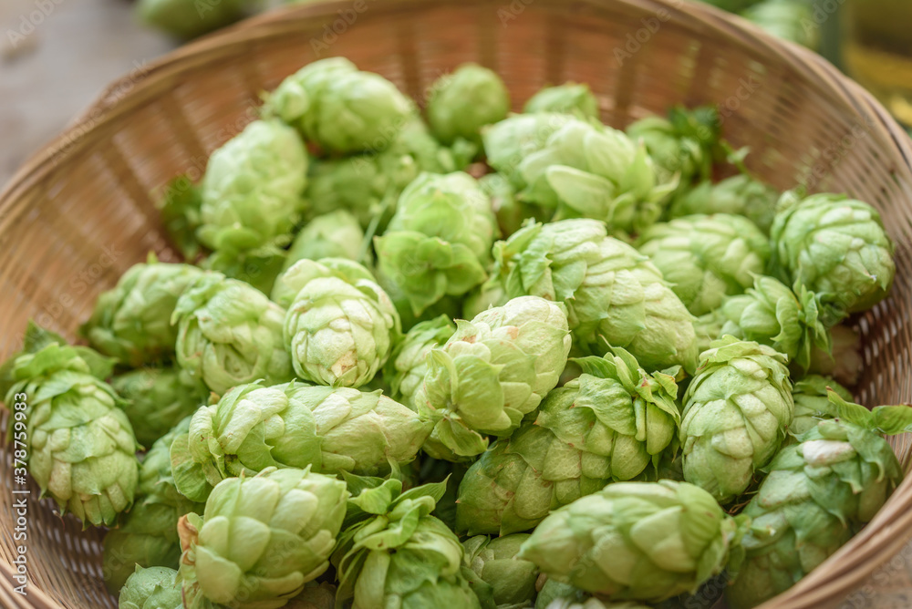 Oktoberfest festival beer background. Malt and hops craft beer brewing background with copy space. Oktoberfest festival beer background. Malt and hops craft beer brewing background with copy space.