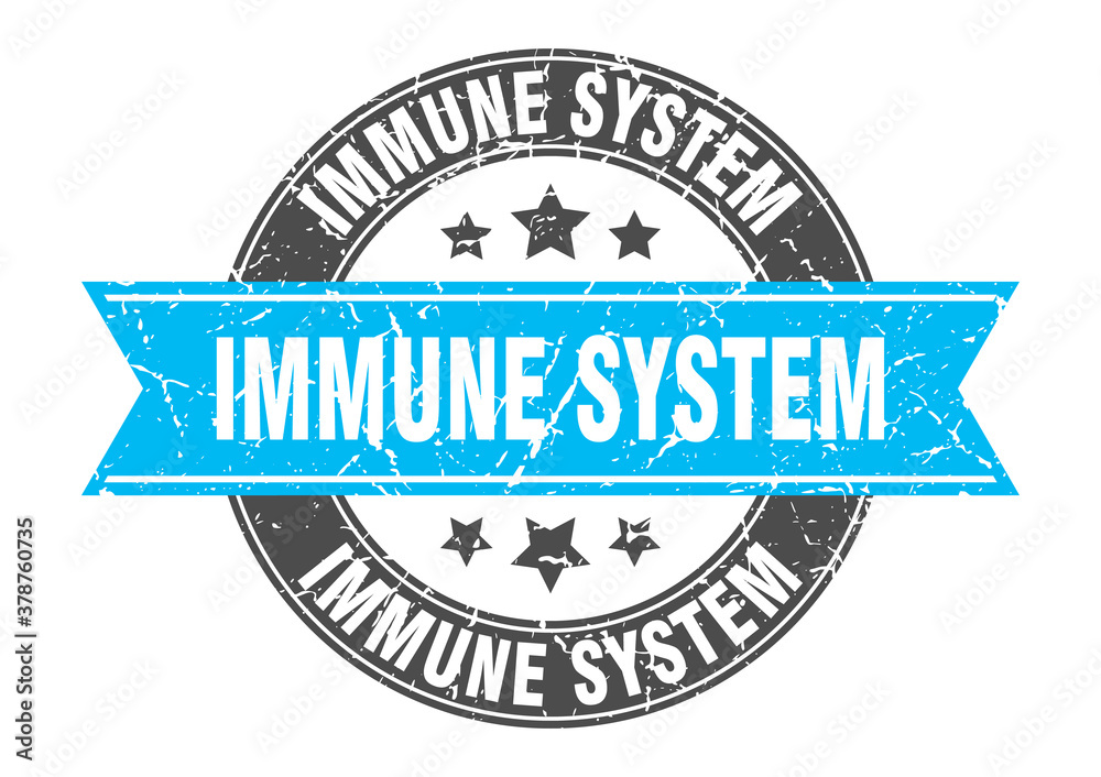 Fototapeta premium immune system round stamp with ribbon. label sign