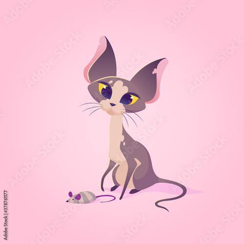 Cute cartoon hairless cat with a toy mouse. Smiling kitten. Vector animals. Pet.  Sphinx breed.
