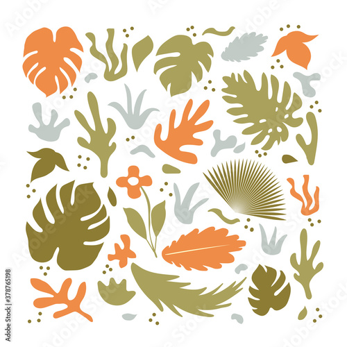 Set of abstract modern plants, palm leaves, fern, monstera. Greenery and flowers botanical decoration element. Vector illustration © Lucia Fox