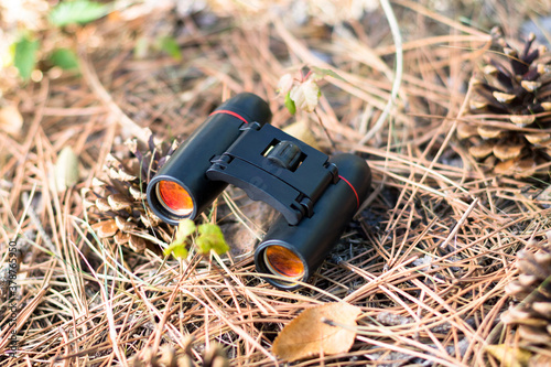 binoculars between fir cones on the ground in the forest photo