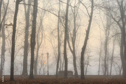 cozy benches in a city foggy park in the fall. Gomel  Belarus